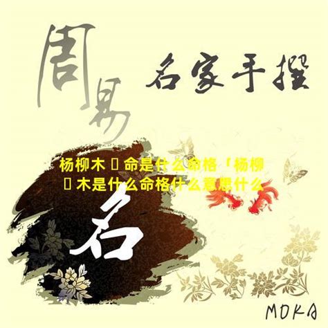 楊柳木命意思|楊柳木命什么意思 代表什么